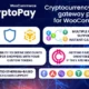 CryptoPay Donate v1.3.1 – Cryptocurrency donate plugin for WordPress